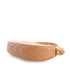 Chanel Small Quilted Aged Calfskin Chanel 19 Hobo Secondhand