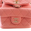 Chanel Small Lambskin Duma Backpack Secondhand