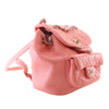 Chanel Small Lambskin Duma Backpack Secondhand