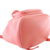 Chanel Small Lambskin Duma Backpack Secondhand
