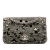 Chanel Medium Classic Canvas Sequin Stripes Double Flap Secondhand