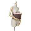 Secondhand Louis Vuitton Monogram Daily Pouch