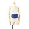 Louis Vuitton Taiga Outdoor Bumbag Secondhand