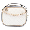 Chanel Small CC Quilted Crumpled Calfskin Vanity Case Secondhand