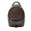 Louis Vuitton Monogram Mini Palm Springs Secondhand
