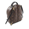 Louis Vuitton Monogram Mini Palm Springs Secondhand