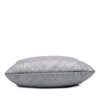 Chanel Metallic Quilted Calfskin Drawstring Bucket Bag Secondhand