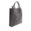 Celine Medium Triomphe Coated Canvas Vertical Cabas Tote Secondhand