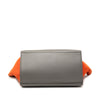 Celine Medium Tricolor Calfskin and Suede Trapeze Satchel Secondhand