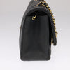 Chanel Vintage Diana Flap Bag Quilted Lambskin