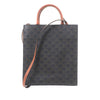 Secondhand Celine Small Triomphe Coated Canvas Vertical Cabas Tote