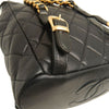 Secondhand Chanel Medium Quilted Lambskin Duma Backpack