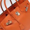 Hermes Birkin Handbag Orange Togo with Palladium Hardware