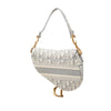 Secondhand Dior Oblique Embroidered Canvas Saddle Bag