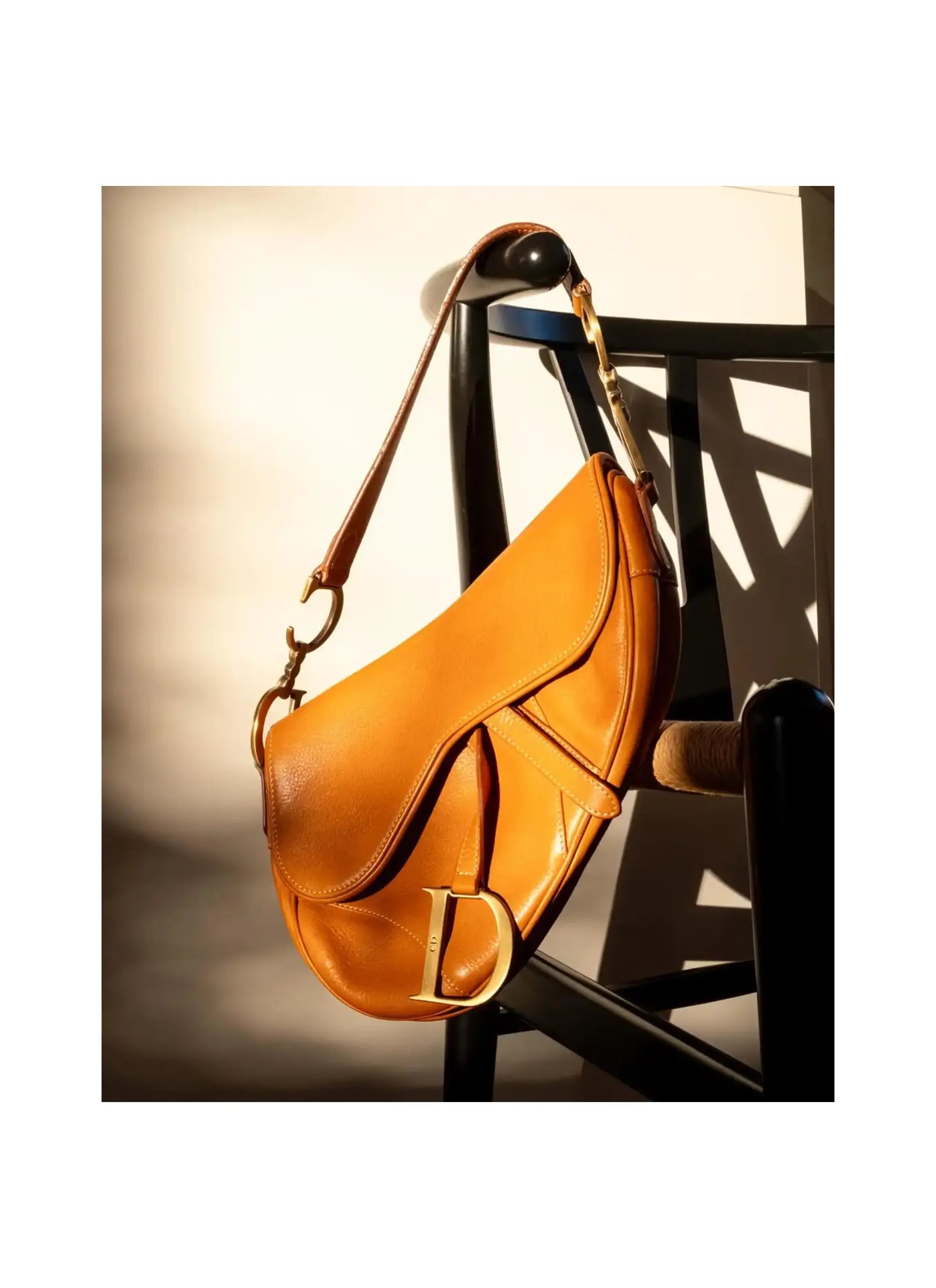 Christian Dior Saddle Bag by John Galliano