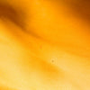 https://tbc-image-proxy.thebrandcollector.workers.dev/f68d68d8dc883722?url=https://image.fapis.io/media/shop/goods-image/638aaaa1-47ab-43a7-9f19-72f4e59cf469_10.jpeg