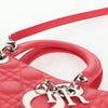 Christian Dior Lady Dior Bag Leather