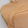 Louis Vuitton Alma Handbag Nomade Leather