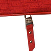 Christian Dior Trotter shoulder bag Canvas
