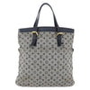 Louis Vuitton Francoise handbag Mini lin