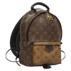 Secondhand Louis Vuitton Palm Springs Backpack Reverse