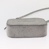 Balenciaga Everyday Camera Bag Glitter Leather