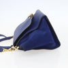 Celine Trapeze Bag Leather with Suede