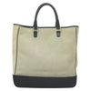 Loewe Anagram Tote Suede