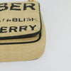 Secondhand Burberry Lola Shoulder Bag Printed Raffia