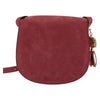Burberry Vintage Crossbody Bag Suede