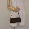 Louis Vuitton Papillon Pochette Monogram Canvas