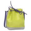 Louis Vuitton NeoNoe Handbag Epi Leather