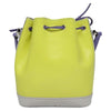 Louis Vuitton NeoNoe Handbag Epi Leather