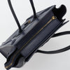 Celine Tricolor Luggage Leather