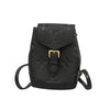 Louis Vuitton Tiny Monogram Empreinte Giant