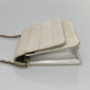 Chanel Travel Line Wallet on Chain Quilted Nylon