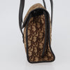 Christian Dior Trotter Canvas