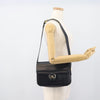 Celine Vintage Horse Carriage Bag Trihomphe leather