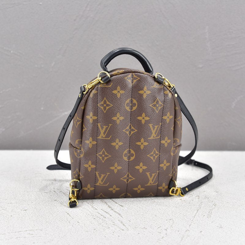 Louis Vuitton Palm Springs Backpack Pm Reviewer
